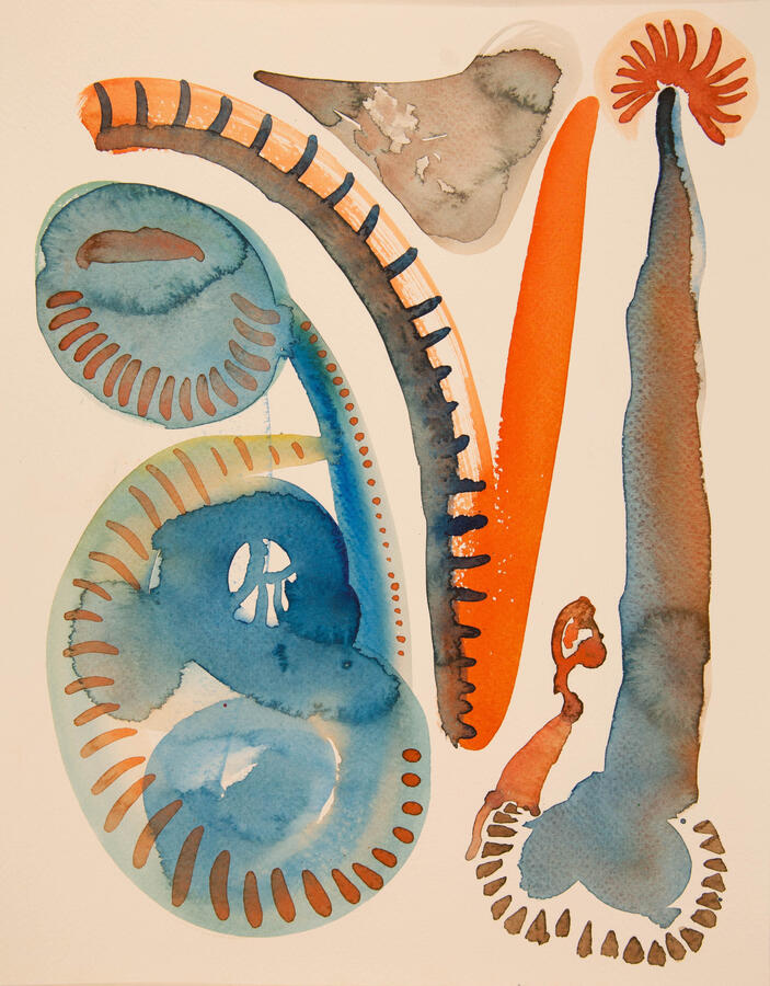 "Seeds: 2, Inside Tubing" 2022. Watercolor on paper, 12 x16 inches, matted/framed, $275.