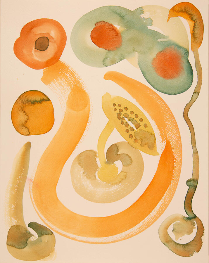 "Seed Pod: 1, Pollination," 2022. Watercolor on paper, 12 x16 inches, matted/framed, $275.