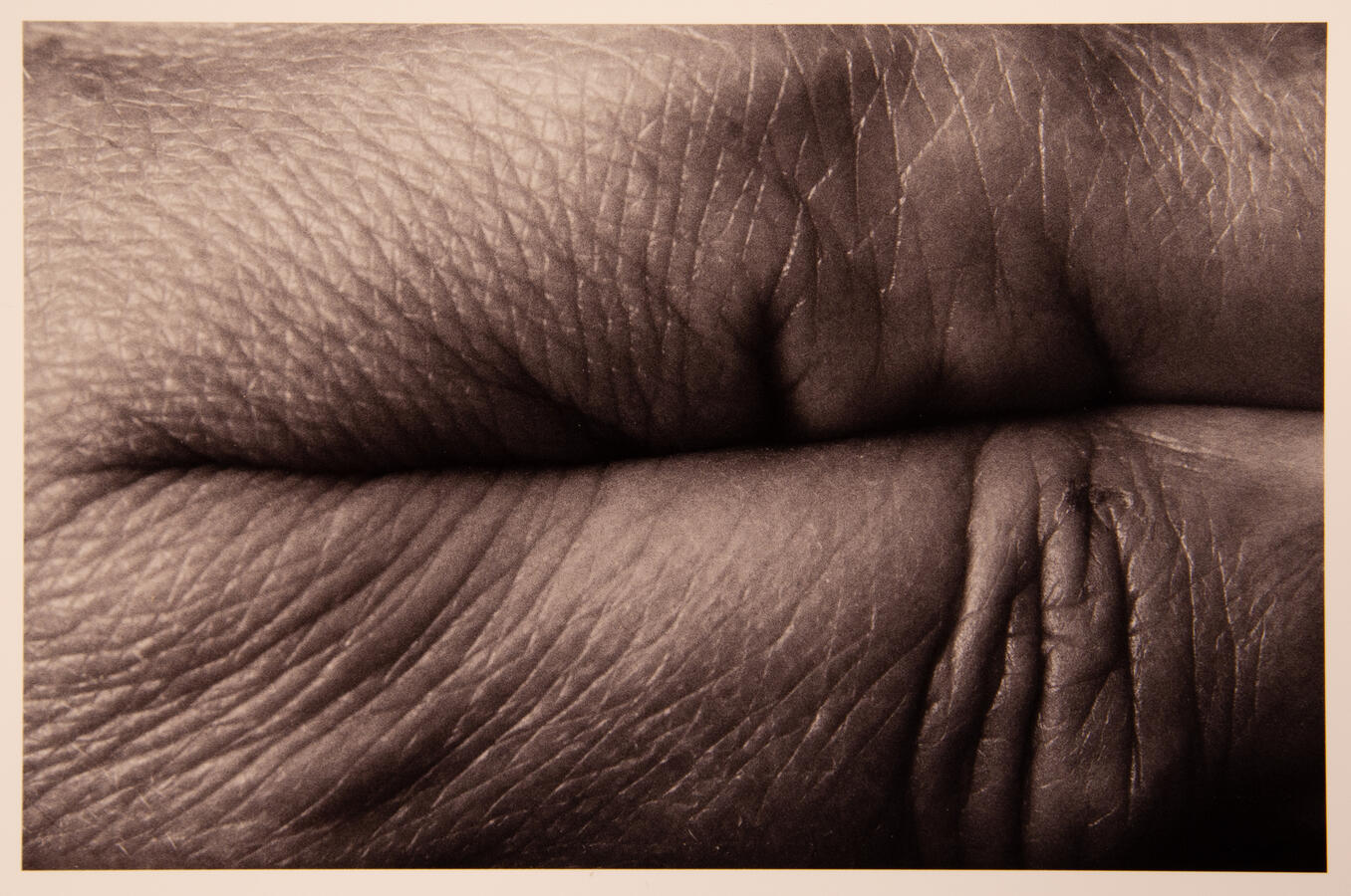 "Artist's Hard Working Hand," 2021. Digital Photo, Black and White.