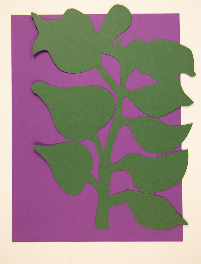 "Silhouette 4: Hibiscus Stem," 2020. Paper cut, 12 x 16 inches, matted/framed, $80.