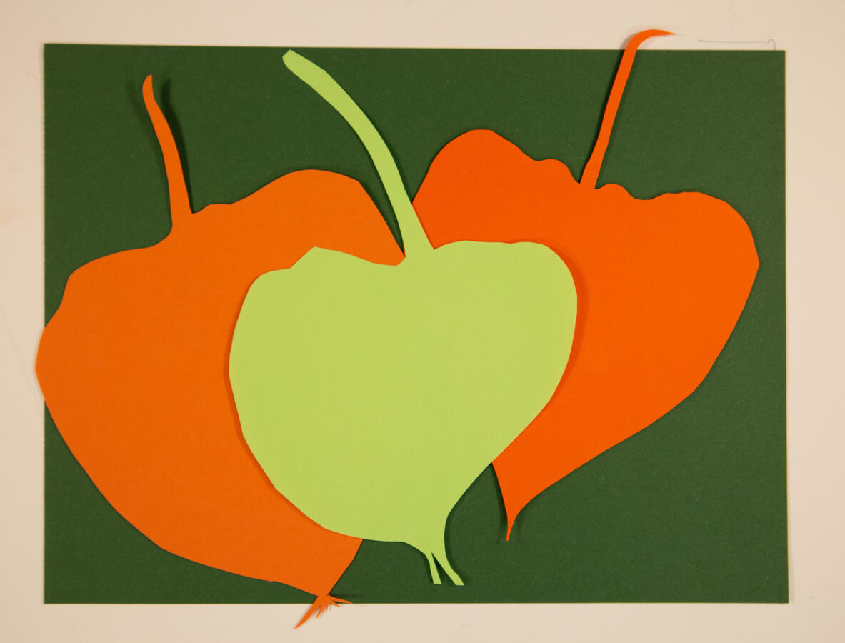 "Silhouette 5: Chinese Lantern Pods" 2020. Paper cut, 16 x 12 inches, matted/framed, $80.