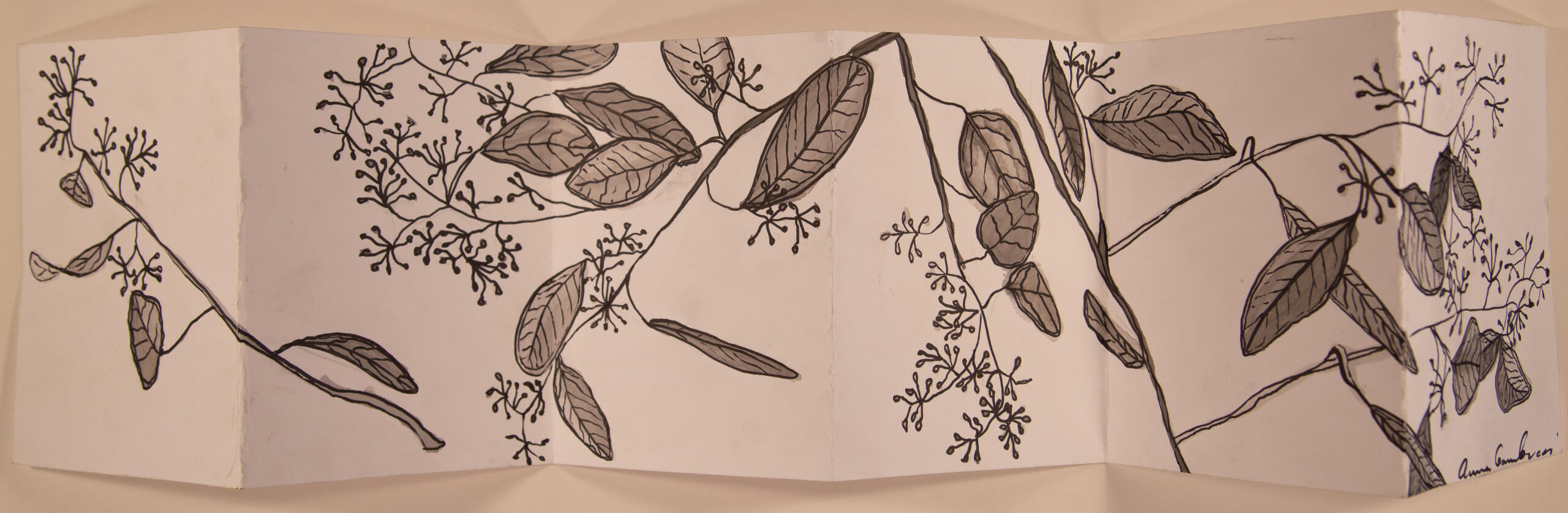 "Look Closely," 2022. Pen and ink wash on folded paper "booklet," unframed, $80.