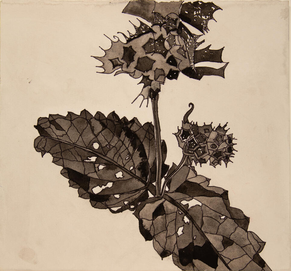 "Seed Pod," 2022. Ink pen and ink wash painting, matted/framed, 16 x 16 inches, $275.