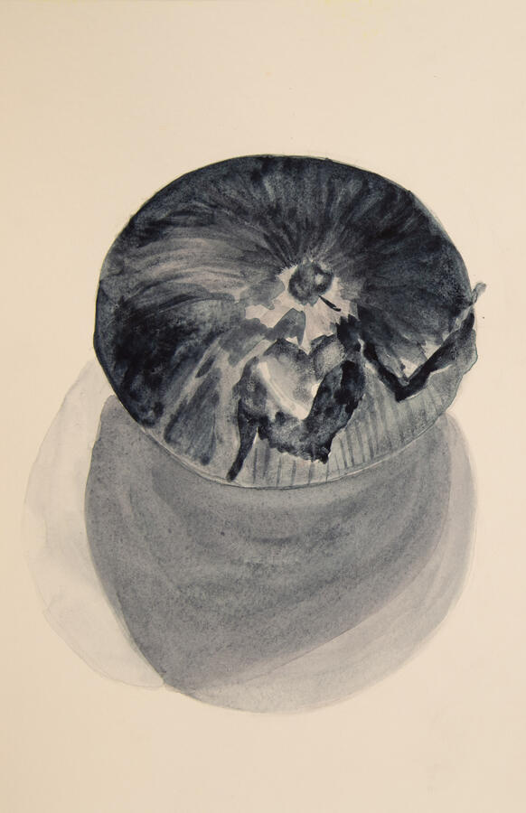 "Onion in Black and White," 2022. Watercolor on paper, matted/framed, 12 x 16 inches, $125.