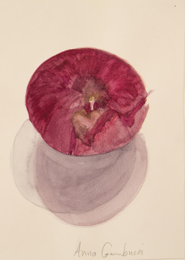 "Red Onion," 2022. Watercolor on paper, matted/framed, 12 x 16 inches, $125.
